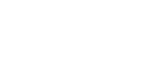 Brand Revolution