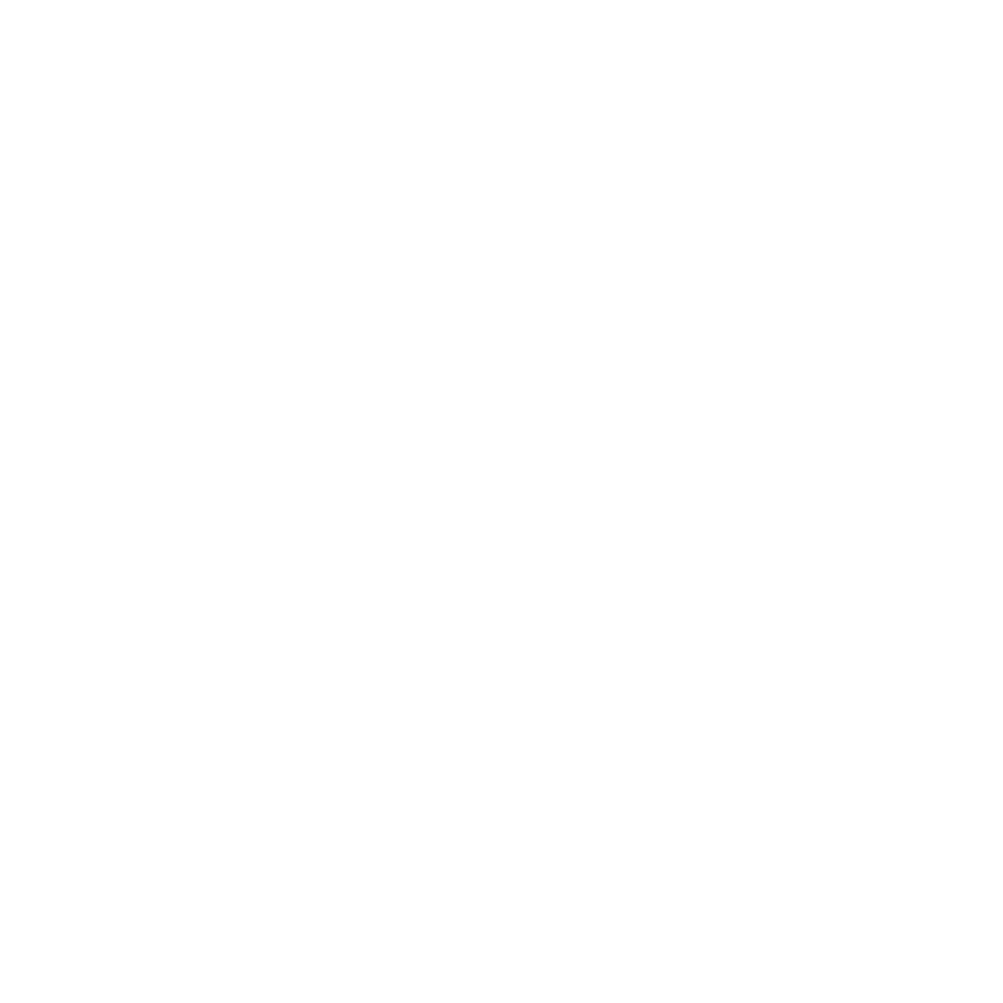 Romicat Ventures